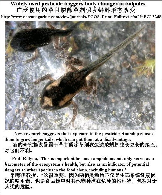 美國科學家：草甘膦除草劑可以誘發脊椎動物形態改變