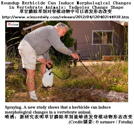 美國科學家：草甘膦除草劑可以誘發脊椎動物形態改變